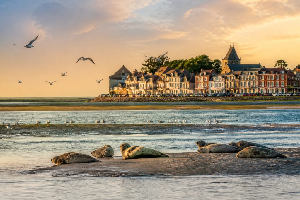 La Baie de Somme : nature, villages et saveurs authentiques