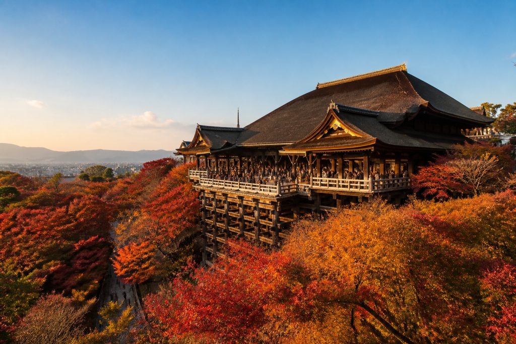 Temples et sanctuaires au Japon : l&rsquo;essentiel pour visiter